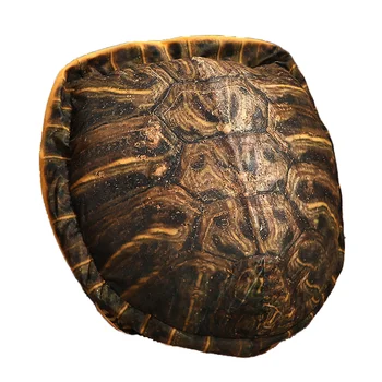 Възглавница с имитация на черупка на костенурка, носен кукла, забавен черупката на костенурка